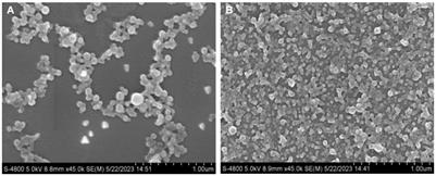 Enhanced oral bioavailability of cannabidiol by flexible zein nanoparticles: in vitro and pharmacokinetic studies